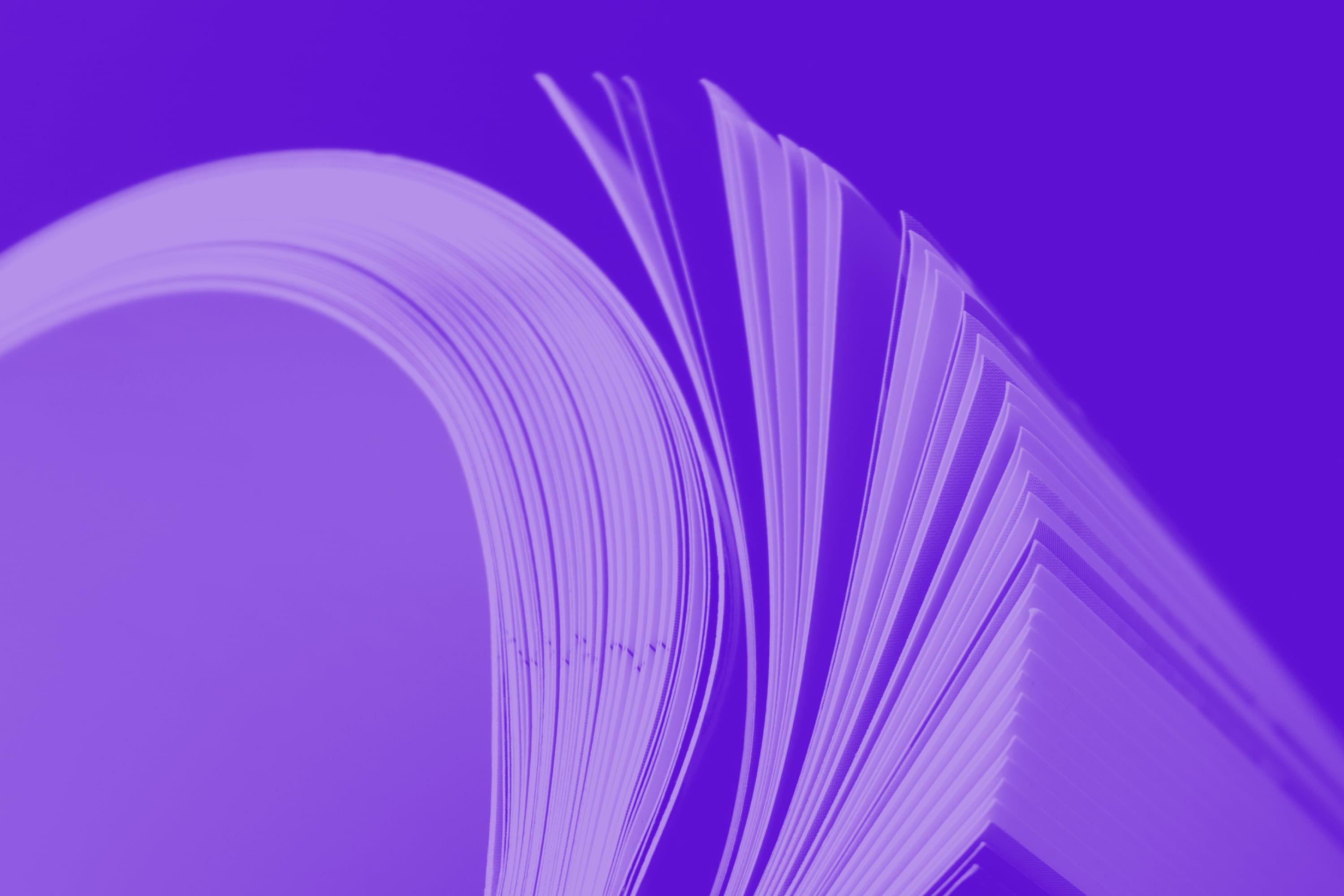 close up open book fanning pages purple toned print design