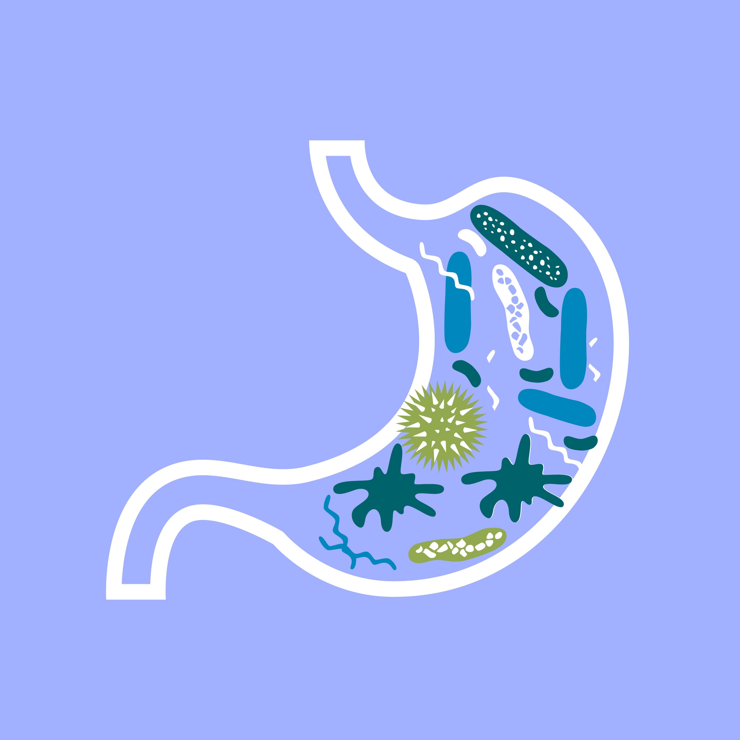 Illustration of a stomach containing stylised gut microbiome bacteria.